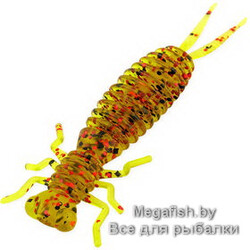Tvister-Akara-Eatable-Insect-65-K002