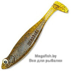 Megabass-Hazedong-shad-numa-ebi