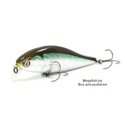 Vobler-Pontoon21-Bet-A-Shad-83SP-SR-005