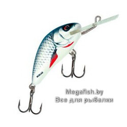 Vobler-Salmo-Hornet-DAC