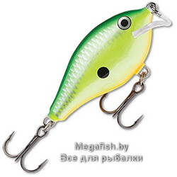 Vobler-Rapala-Scatter-Rap-Crank-Shallow-RTA