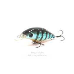 vobler-pontoon21-gem-40f-sr-514