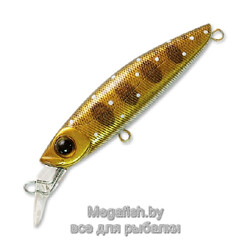 Pontoon21-GagaGoon-60SS-SR-129