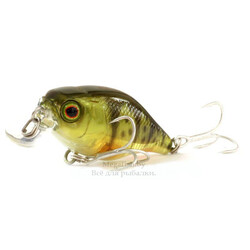 Воблер Jackall Chubby 38 (4 г)ghost g perch