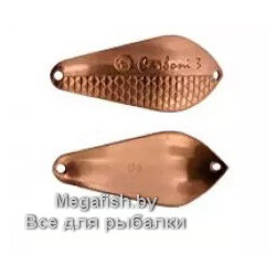 Kibs-Carboni-3-EX-02