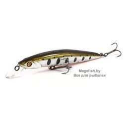Pontoon21-Cablista-105SP-SR-050