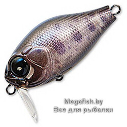 Zipbaits-Craze-B-Switcher-Rattler-813R