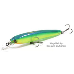 Yo-Zuri/Duel-3DS-Minnow-100SP-HCLL