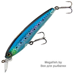 Yo-Zuri/Duel-3DS-Minnow-100SP-HIW