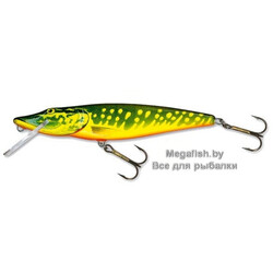 Salmo-Pike-11F-HPE