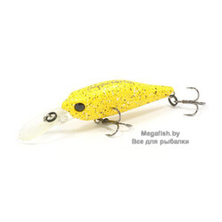 Pontoon21-Cheerful-40SP-MR-R41