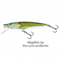 Salmo-Pike-11F-RPE
