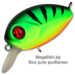 Pontoon21-Baby-Red-Rag-32F-SR-042