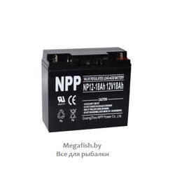 NP12