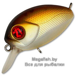 Pontoon21-Baby-Red-Rag-32F-SR-317