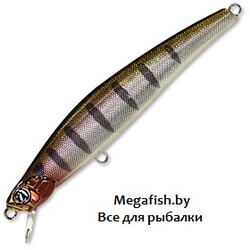 Pontoon21-Preference-Minnow-75F-SR-A07