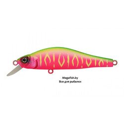 Strike-Pro-Archback-60-A230S