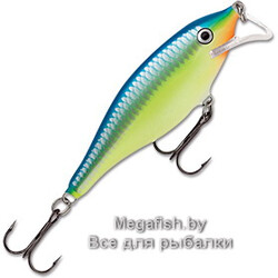 Rapala-Scatter-Rap-Shad-05-CRSD