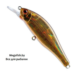 Anglers-Republic-Alexandra-SCD-65