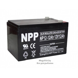 NP12