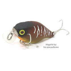 Vobler-Jackall-Chubby-38F-bug-tiger