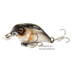 Jackall-Cherry-44-hl-silver-&-black