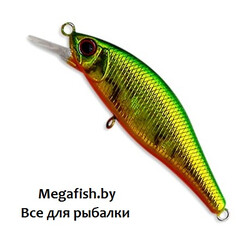 Anglers-Republic-Alexandra-A-79