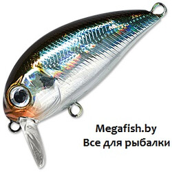 Pontoon21-Hypnose-38F-SSR-005