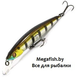 Pontoon21-Cablista-75SP-SMR-007