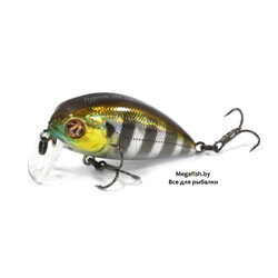 Pontoon21-Hypnose-38F-SSR-007