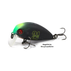 Pontoon21-Hypnose-38F-SSR-021