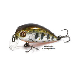 Pontoon21-Hypnose-38F-SSR-050