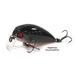 Pontoon21-Hypnose-38F-SSR-211