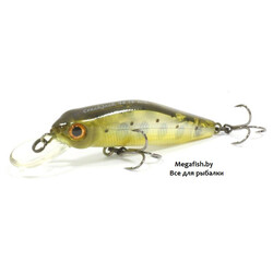 Pontoon21-CrackJack-48SP-MR-351