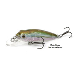 Strike-Pro-Midge-40-500G