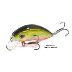 Strike-Pro-Mustang-Minnow-45-612T