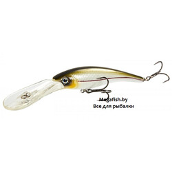 Lucky-John-Original-Deep-Shiner-110F-A001