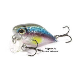 Strike-Pro-Cranky-X-40-A210-SBO-RP