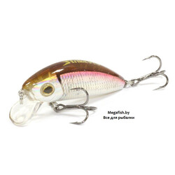 Strike-Pro-Mustang-Minnow-45-A53