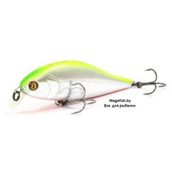 Pontoon21-Bet-A-Shad-75F-SR-A62