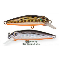 Strike-Pro-Midge-40-A70-613-SBO