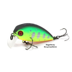 Pontoon21-Hypnose-38F-SSR-R10