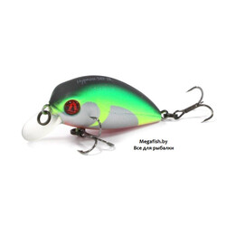 Vobler-Pontoon21-Hypnose-38F-SR-R37
