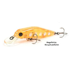 Pontoon21-CrackJack-48SP-MR-R46