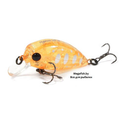 Vobler-Pontoon21-Hypnose-38F-SR-R46