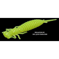 Fanatik-Larva-024