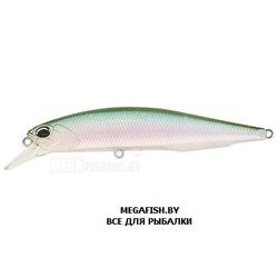 Vobler-DUO-Realis-Jerkbait-110SP-CCC3254