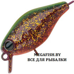 Cranky-X-40-GC04G-UV