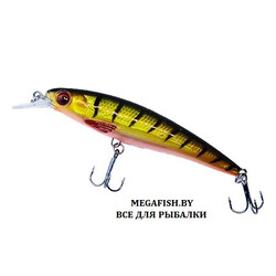 Akara-Jockey-100SP-A47