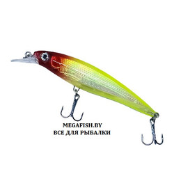 Akara-Jockey-100SP-A51
